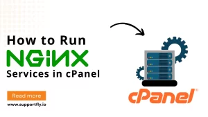 How to Run NGINX Services in cPanel
