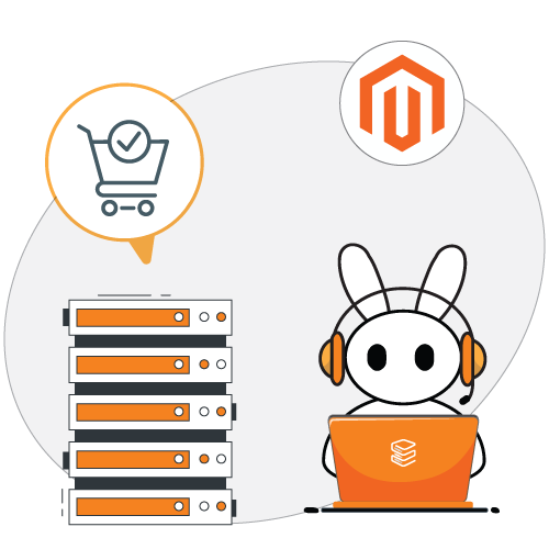 Certified eCommerce Server Experts With SupportFly